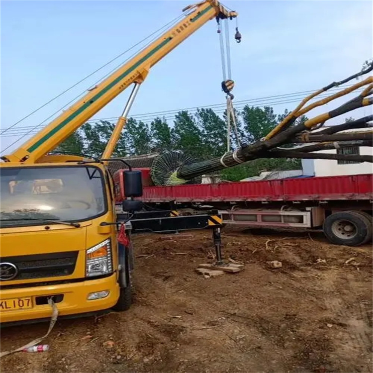 利川100吨吊车租赁费用怎么算？3大关键因素+省钱技巧全解析